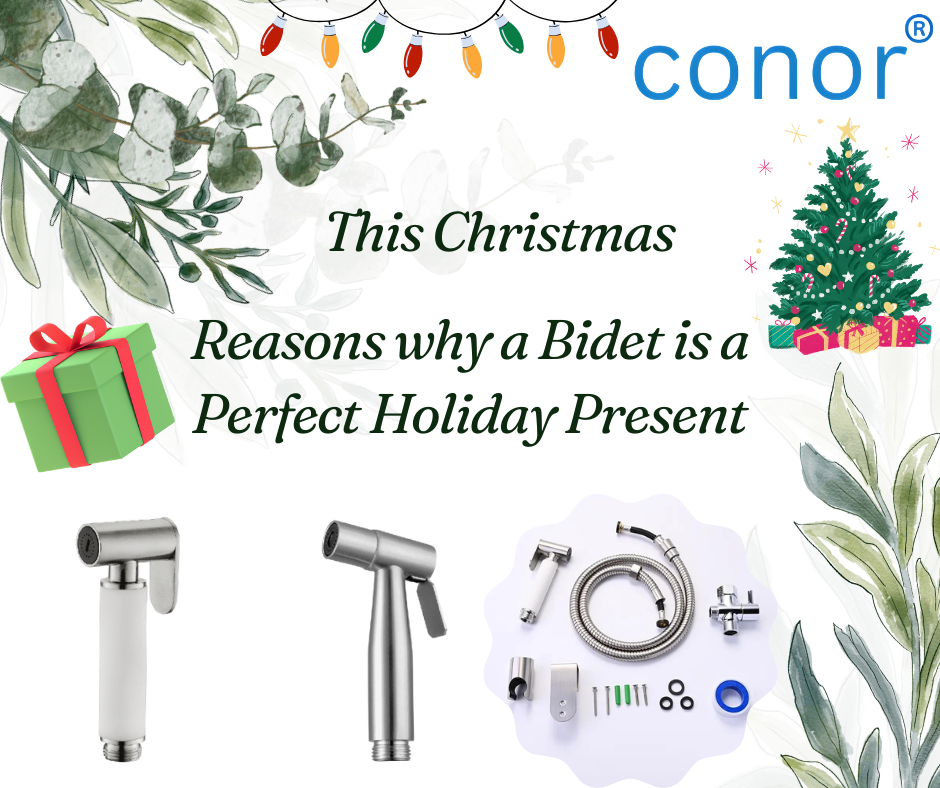 Reasons why a Bidet is a Perfect Holiday Present